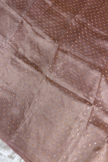 Gold & Silver Polka Dots Zari Woven Pure Organza Tissue Fabric