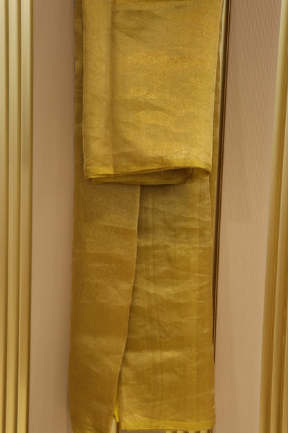 Pure Tissue Organza With Chinya Woven Pallu Banarasi Dupatta