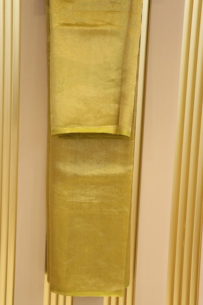 Pure Tissue Organza With Chinya Woven Pallu Banarasi Dupatta