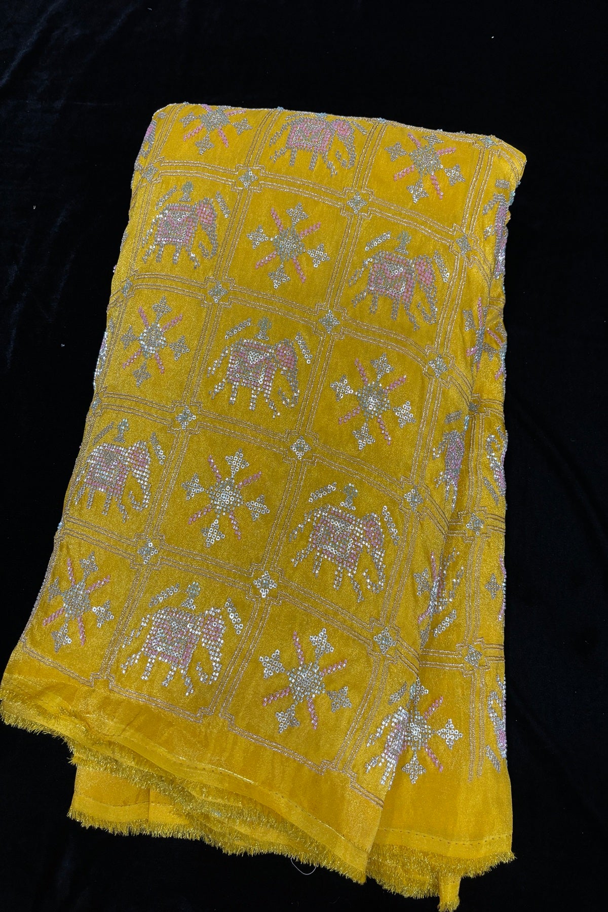 Cut Beads Embroidered Patola Inspired Uppada Tissue Fabric