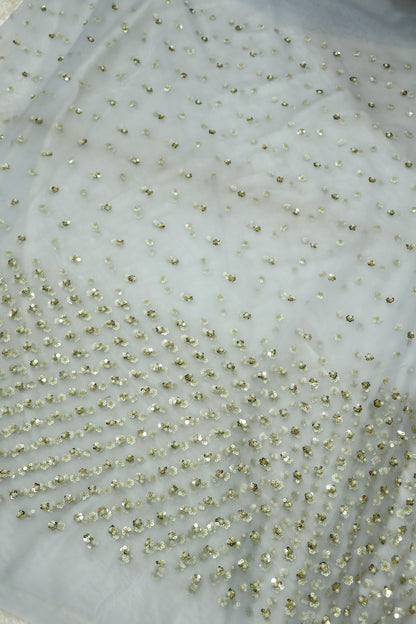 Light Steel grey Net Embroidered With Pearls & Sequins