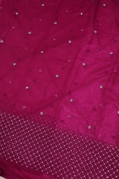 Magenta Pink Net Fabric Highligted With Self Thread worked Border & Chaton Stones