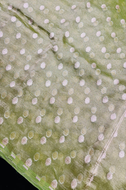 Golden Zari Woven Floral Buttas Pure Tissue Organza Fabric